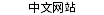 中文网站